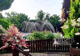 سالن عقد هانیل